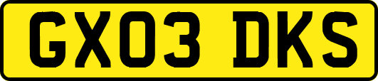 GX03DKS