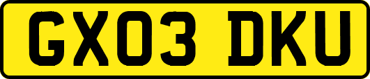 GX03DKU