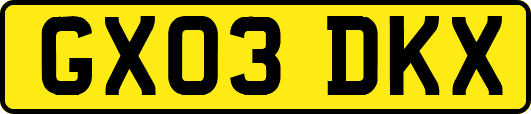 GX03DKX