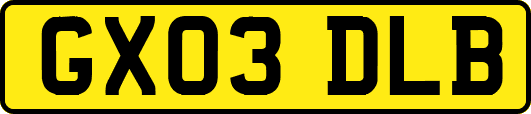 GX03DLB