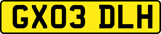 GX03DLH