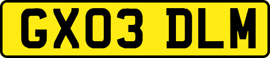 GX03DLM