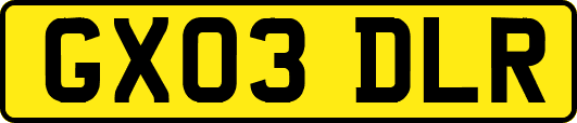 GX03DLR