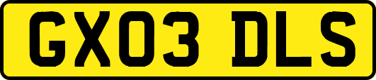 GX03DLS