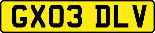 GX03DLV