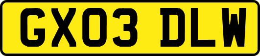 GX03DLW