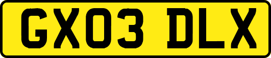 GX03DLX