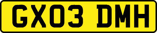 GX03DMH