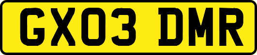 GX03DMR