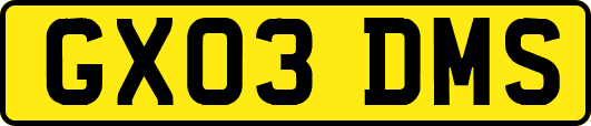 GX03DMS
