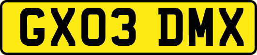 GX03DMX
