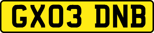 GX03DNB