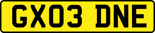GX03DNE