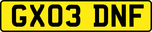 GX03DNF
