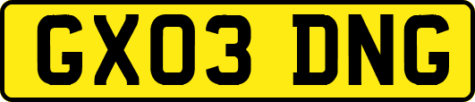 GX03DNG