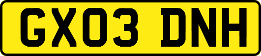 GX03DNH