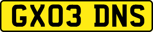 GX03DNS