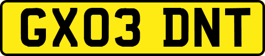 GX03DNT