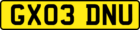 GX03DNU