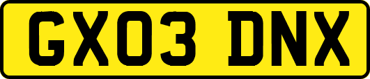 GX03DNX
