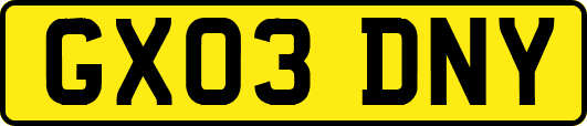 GX03DNY