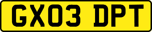 GX03DPT