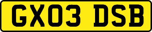 GX03DSB