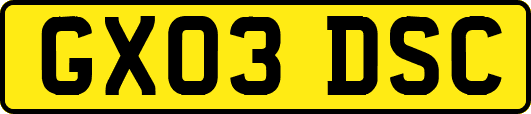 GX03DSC