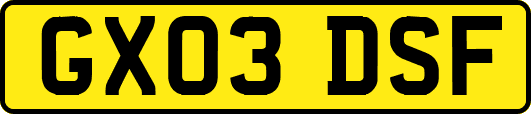 GX03DSF
