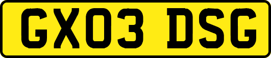 GX03DSG