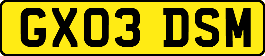 GX03DSM