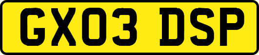 GX03DSP