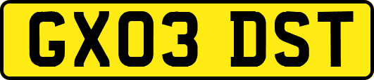 GX03DST