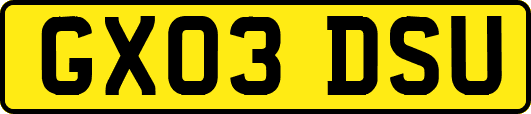 GX03DSU