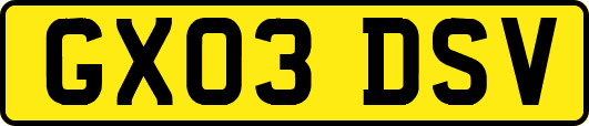 GX03DSV