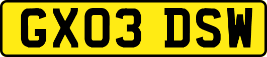 GX03DSW