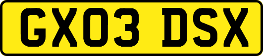 GX03DSX