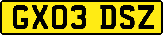 GX03DSZ