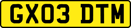 GX03DTM