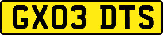 GX03DTS