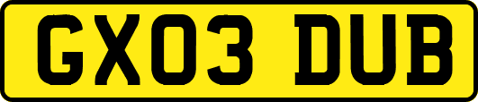 GX03DUB