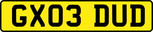 GX03DUD