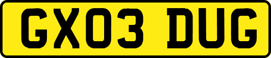GX03DUG