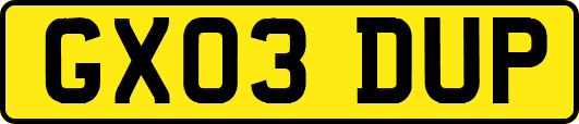 GX03DUP