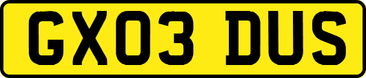 GX03DUS
