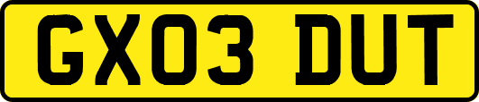 GX03DUT