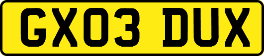 GX03DUX