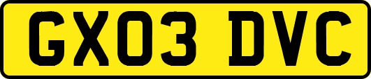 GX03DVC