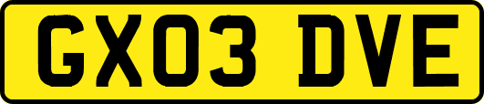 GX03DVE