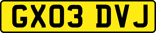 GX03DVJ